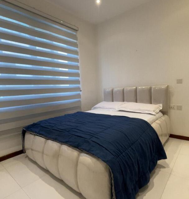 Fully Furnished Apartment Cantonments Serene Aegis Realty